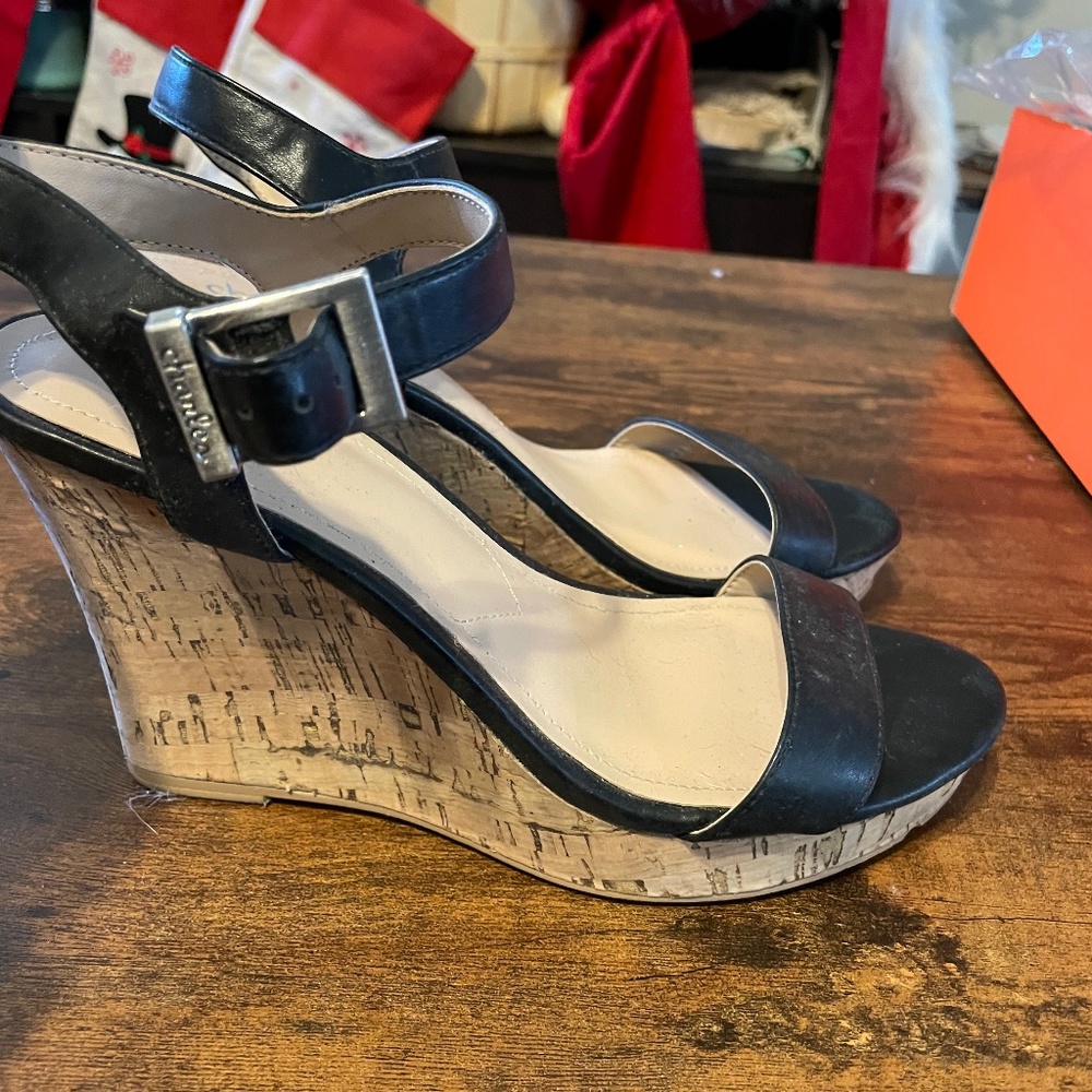 Charles David Wedges